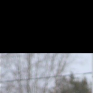 Meet your Posher, Bryce